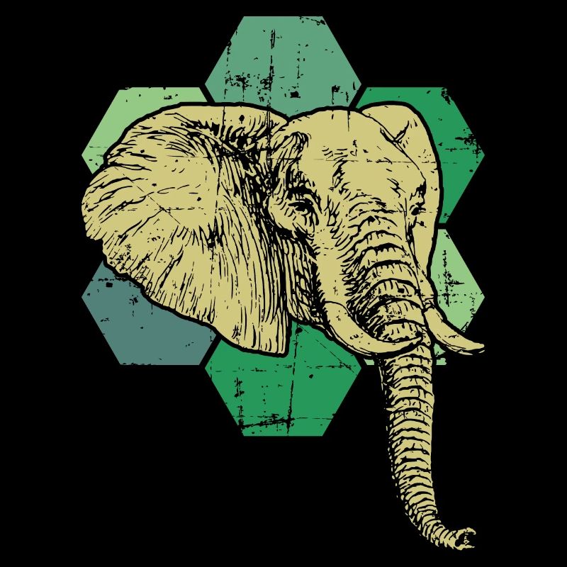 Elefant Tierschutz