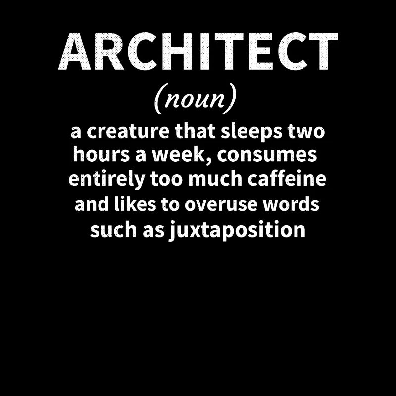Architecture Gift Architecture Student Architect