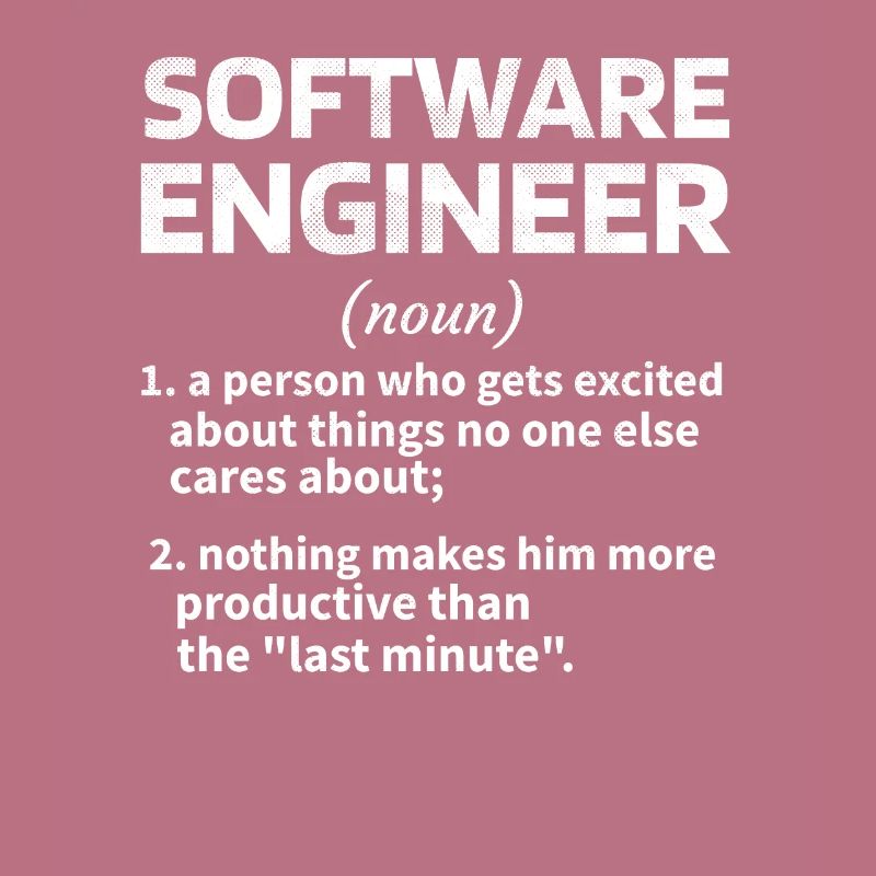 Softwareingenieur Software Engineer Techniker