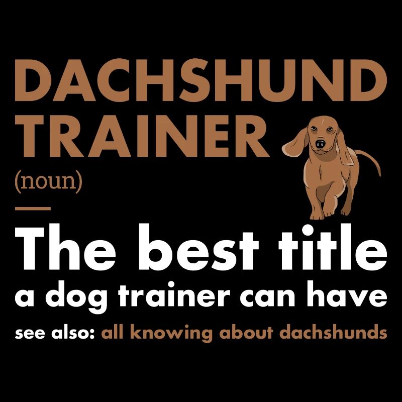 Définition du teckel Trainer