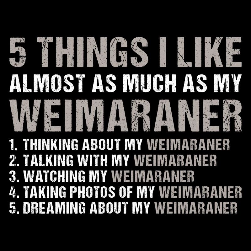 I Like As Much As My Weimaraner