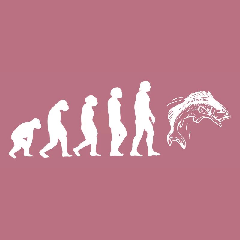 Evolution Forellen Angler