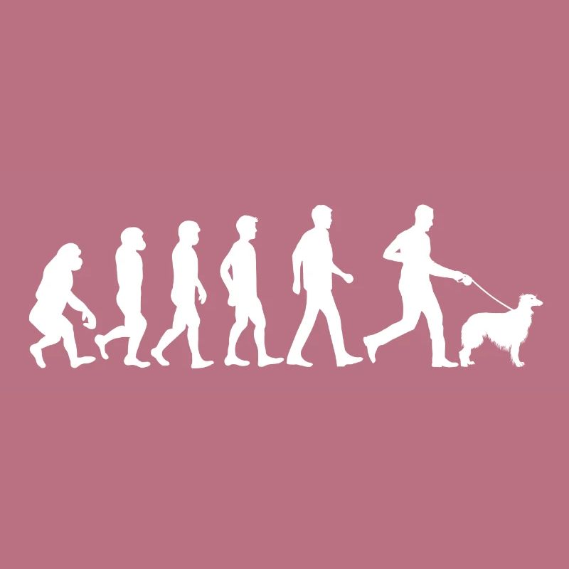 Silken Windhound Hund Evolution Hundebesitzer