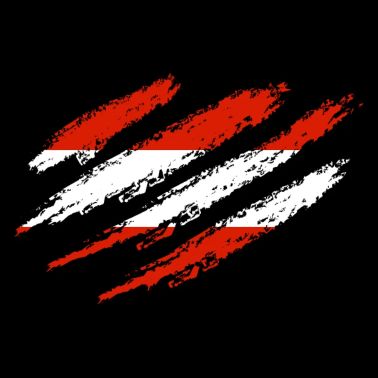 Austria Flag Austria Scratches Cut Scratch Marks