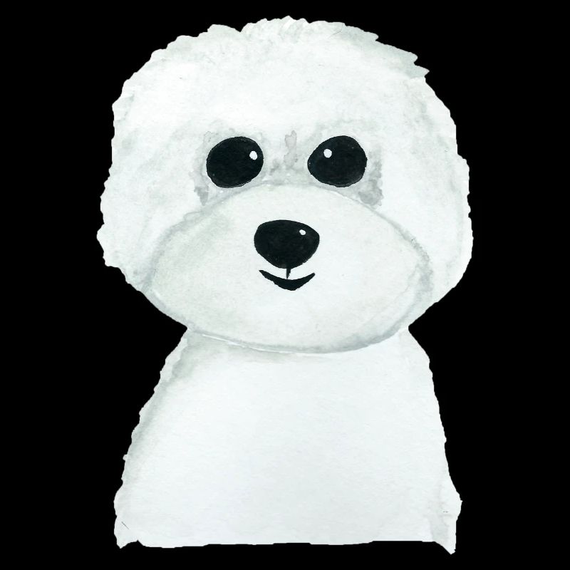 Bichon Hündchen