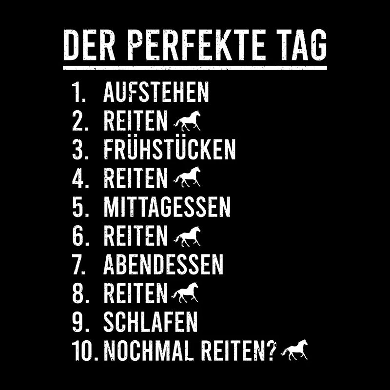Stute oder Hengst für Reiter Reiterin Schimmel