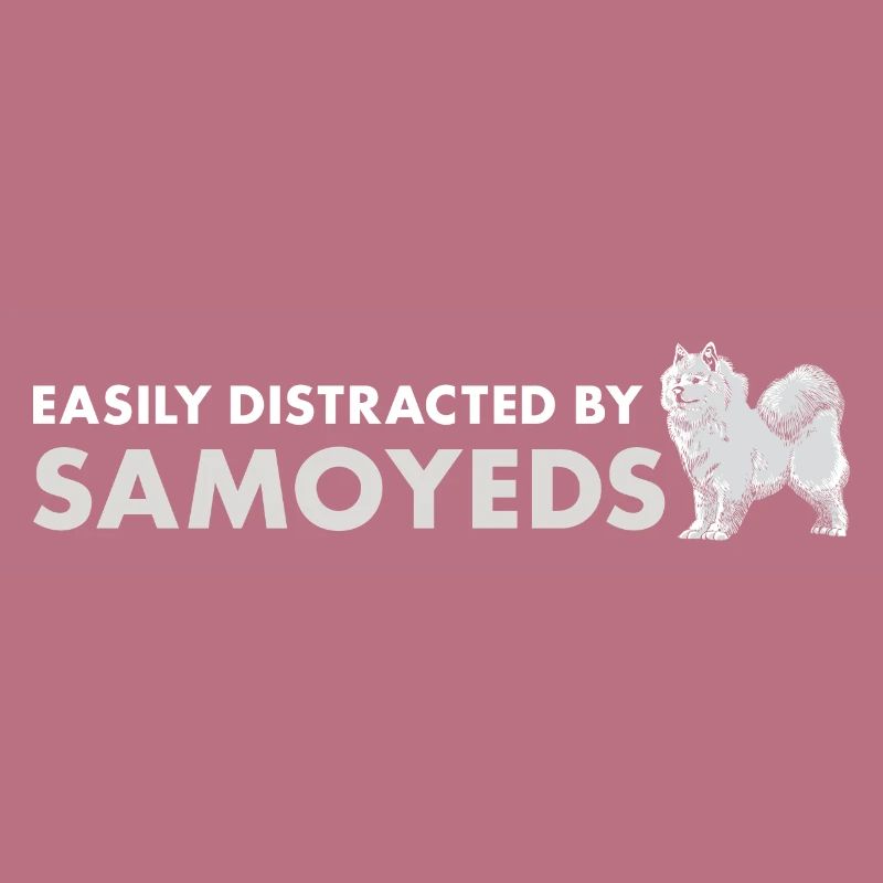 Easily Distracted By Samoyed