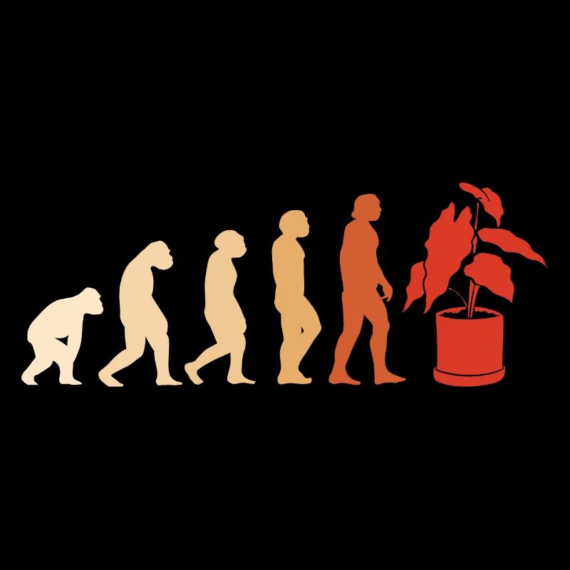 Jardinier Évolution Jardinage