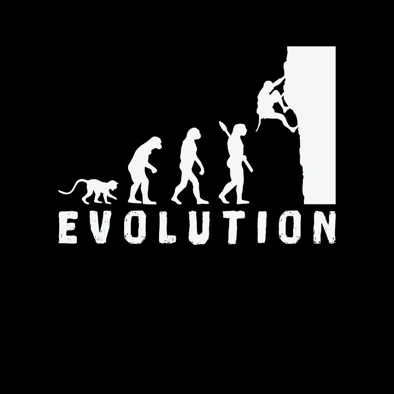 Escalade Bouldern Evolution