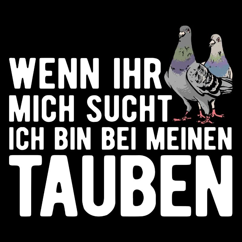 Taube Tauben Vogel