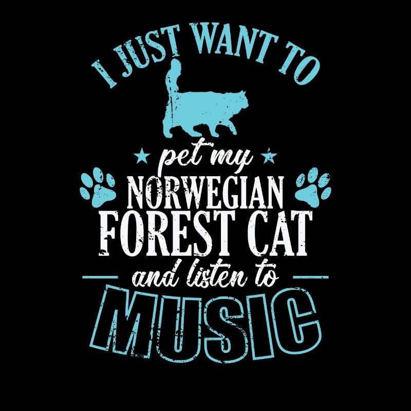 Caresser mon chat de la forêt norvégienne et écouter de la musique
