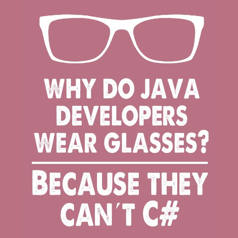Developer Java