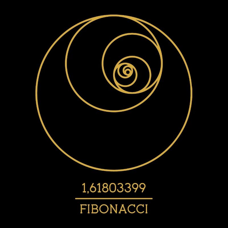 Fibonacci Spiral Follow Math Teacher Numbers