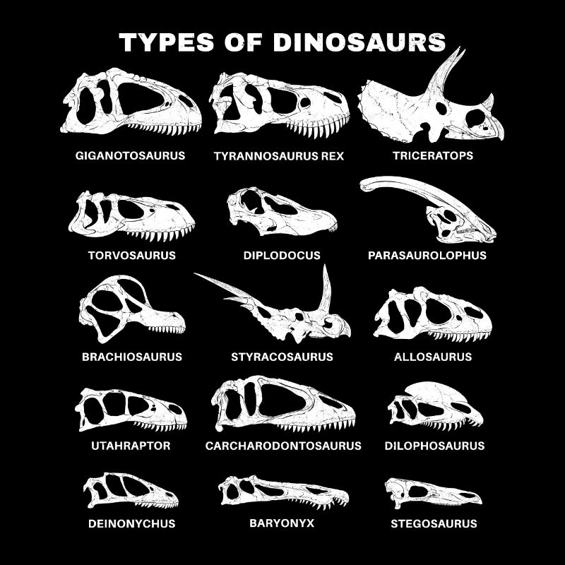 Dinosaurierarten Types of Dinosaurs