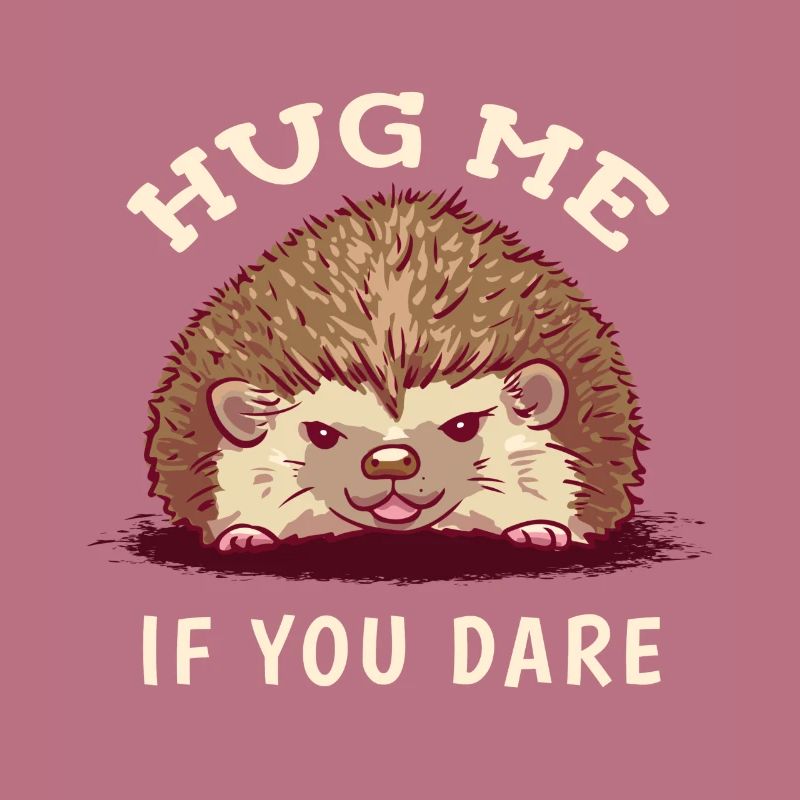 Retro Igel Spruch Hug Me Hedgehog T-Shirt