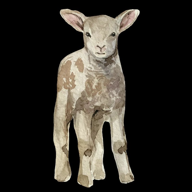 Mouton bébé