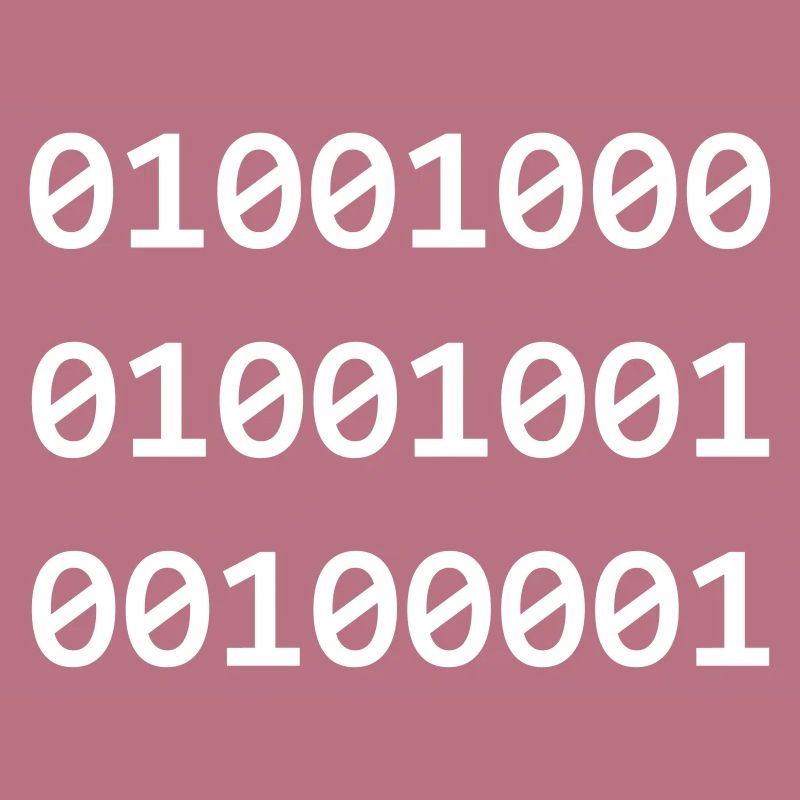 Hi Binary Programmierer grüßen sich so