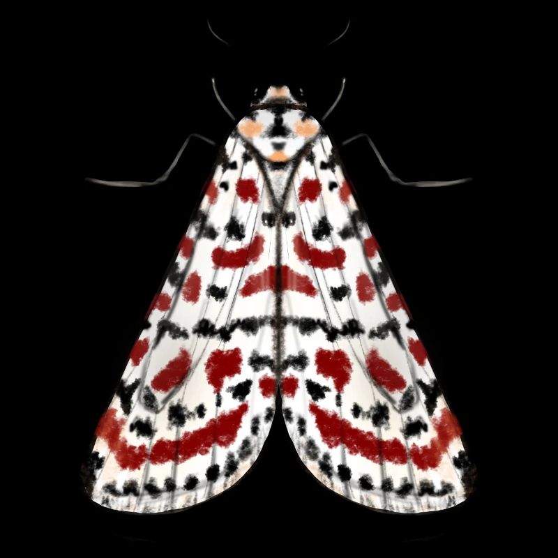 Mite