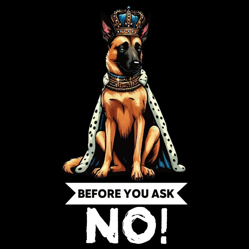 Before You Ask Malinois Belgischer Schäferhund 