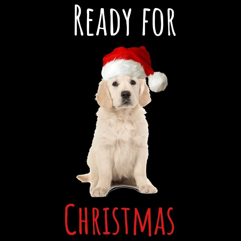 Ready for Christmas Puppy