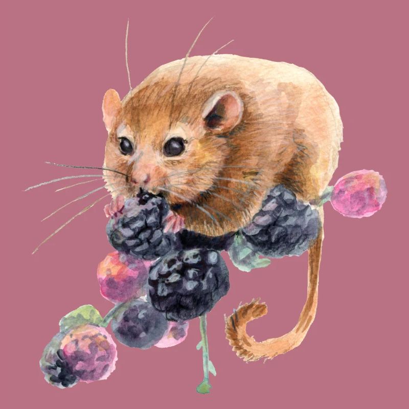 Hazel dormouse