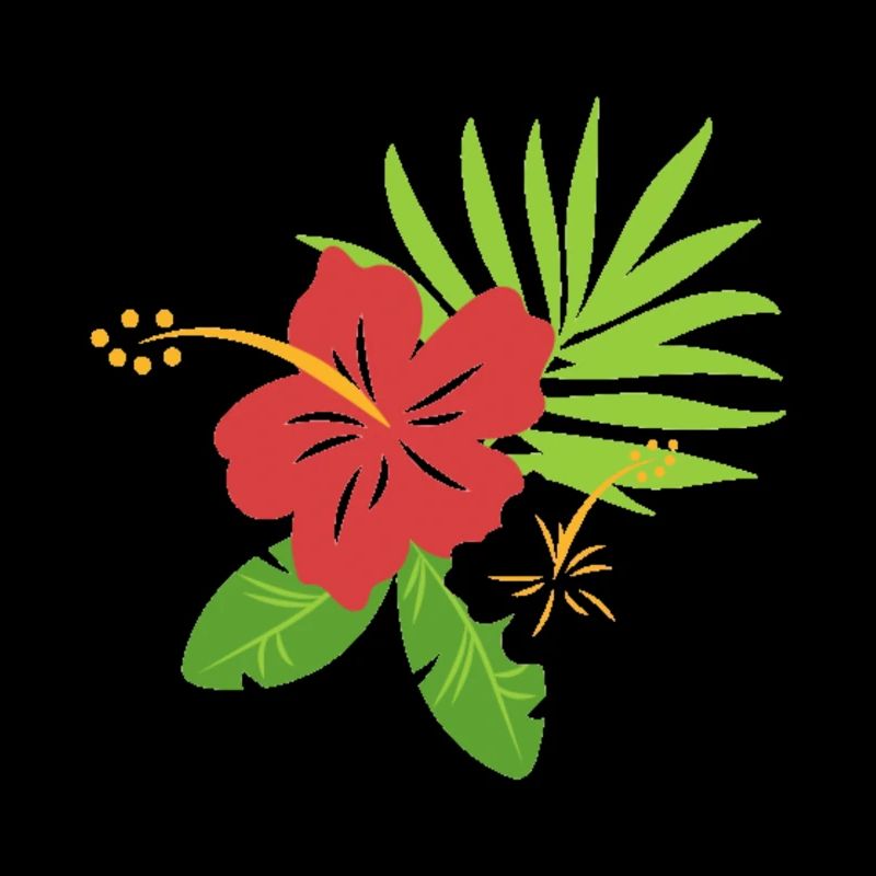 BLUME