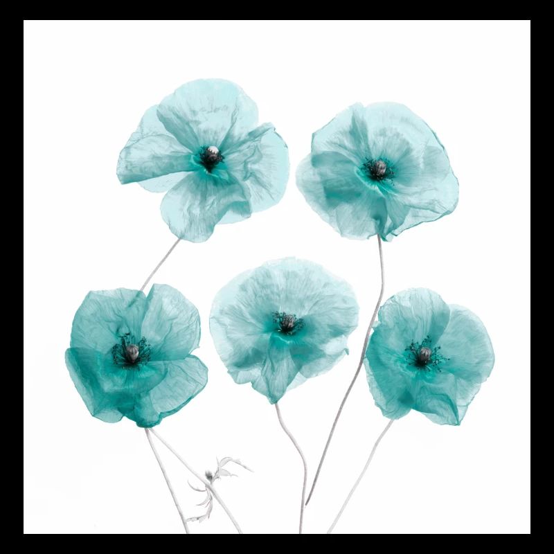 Fleurs de pavot Vert Blanc