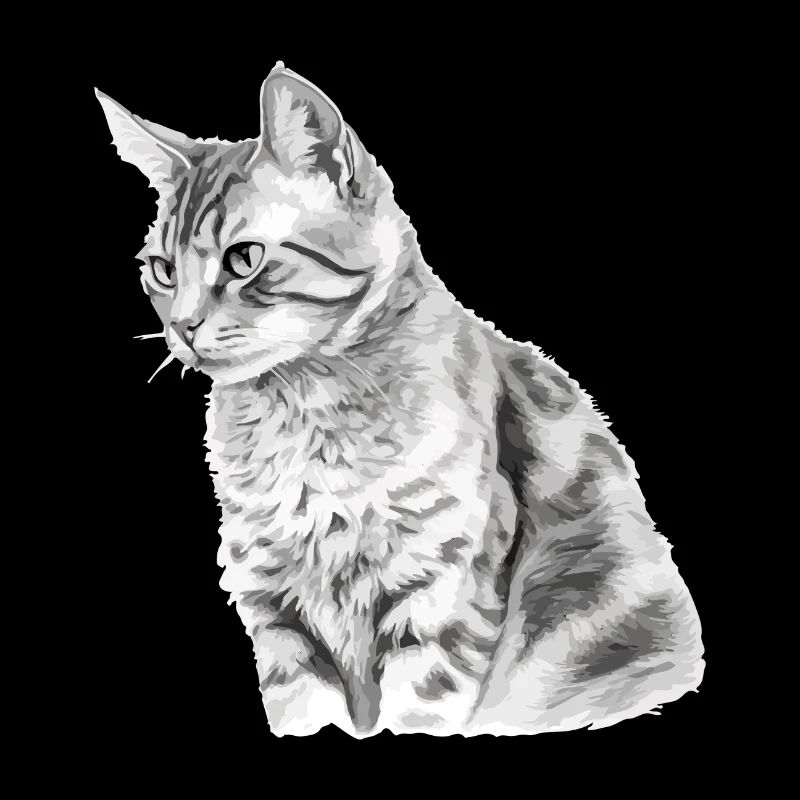Kili, die Katze