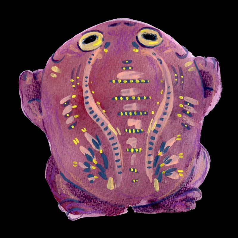 Purple Kröte