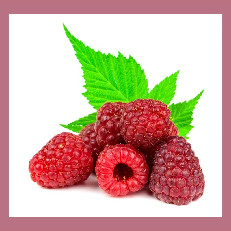 Himbeere. raspberry