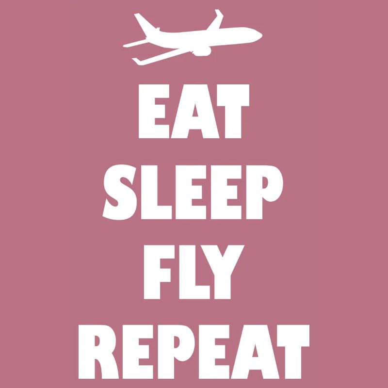Stewards Steward Pilot Fly