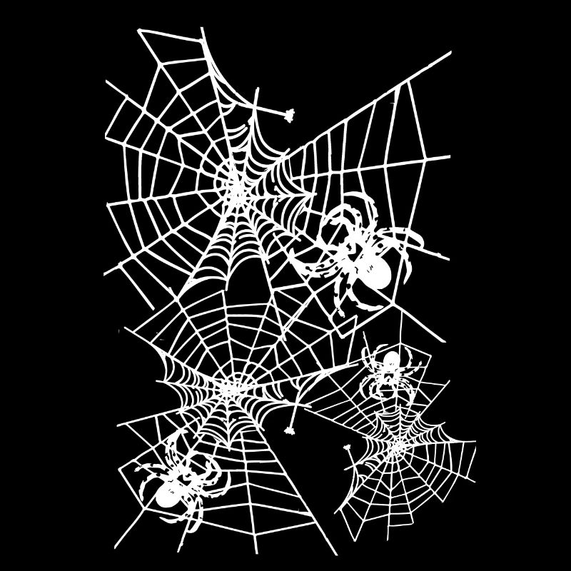 Spider, spider web, white web, Halloween