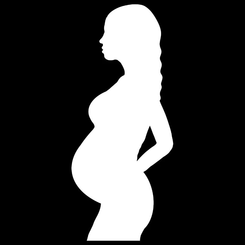 Enceinte