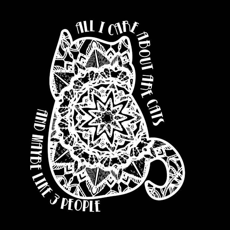 Chat Mandala Persan Siam Cadeau