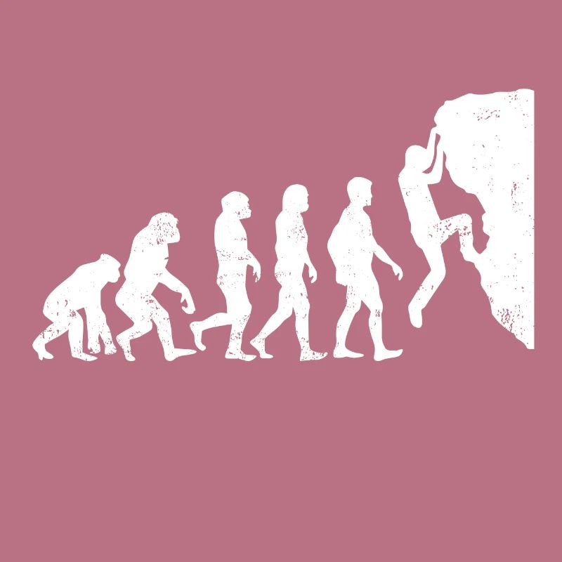 Evolution Rock Climber