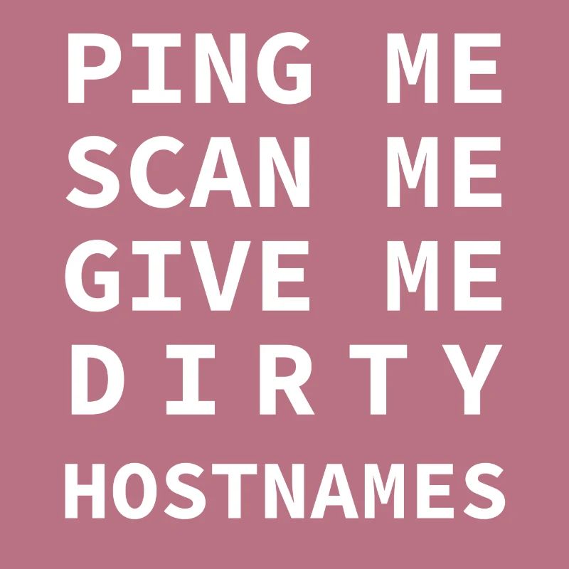 Ping Me Scan Me Dirty Hostnames Network Admin