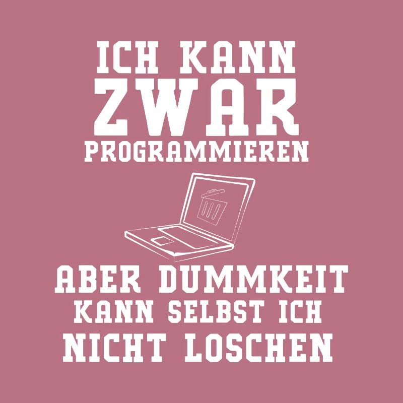 programmeur