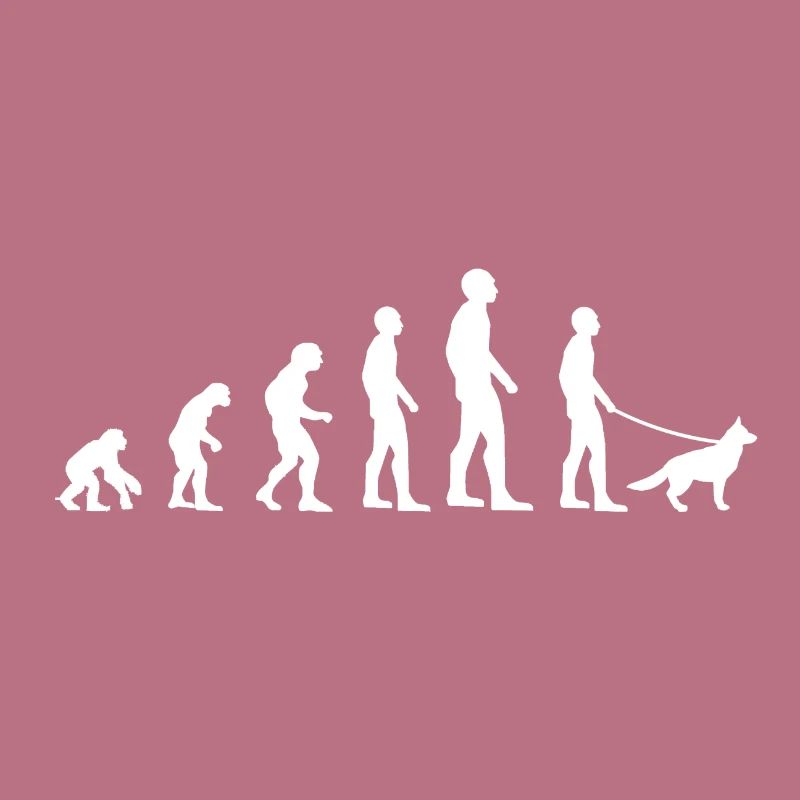 Evolution des chiens