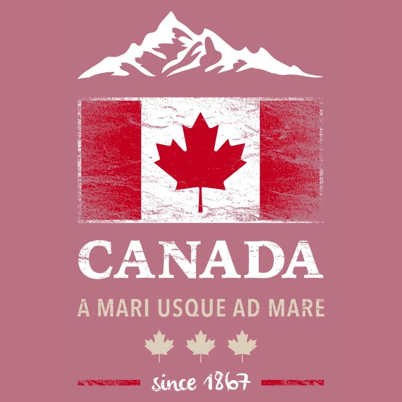 Canada Canada America maple leaf flag flag