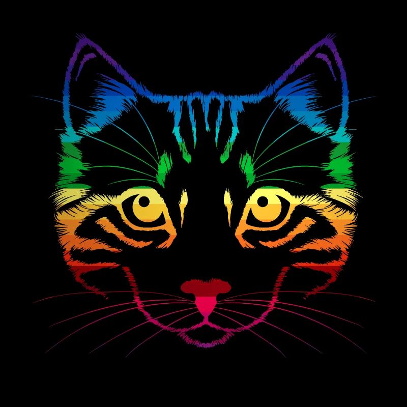 Chat arc-en-ciel LGBT