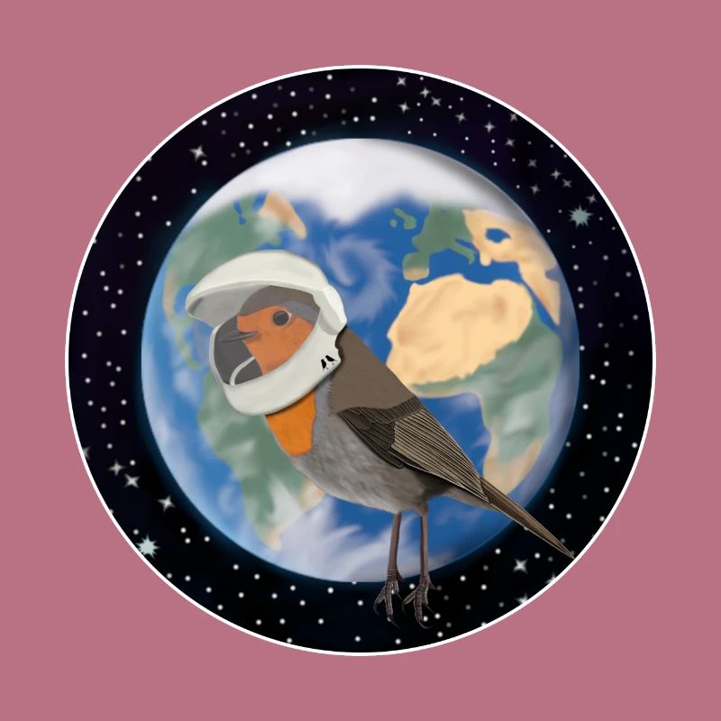 Bird robin as an astronaut in space