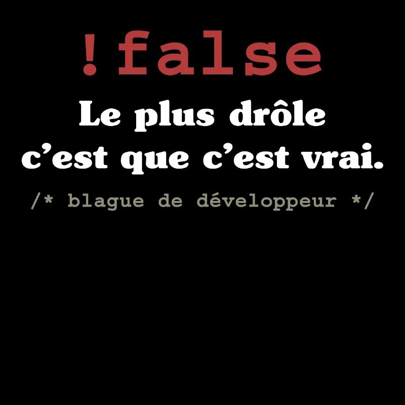 Blague programmeur développeur codeur informatique