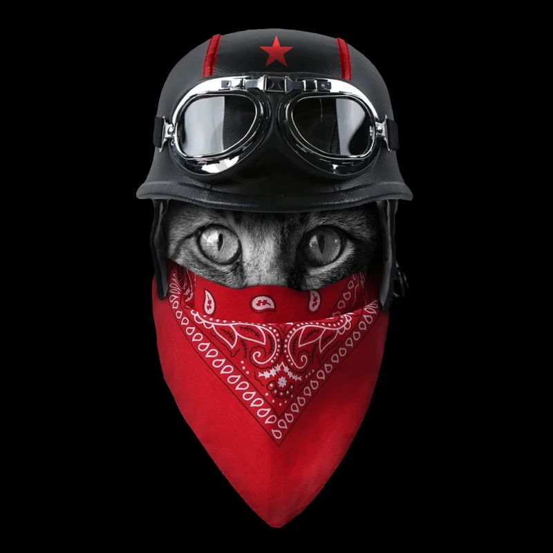 Katzen Bandana