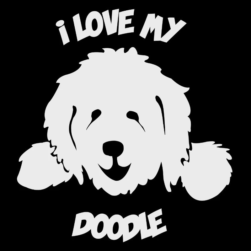 Doodle Goldendoodle Labradoodle Chien