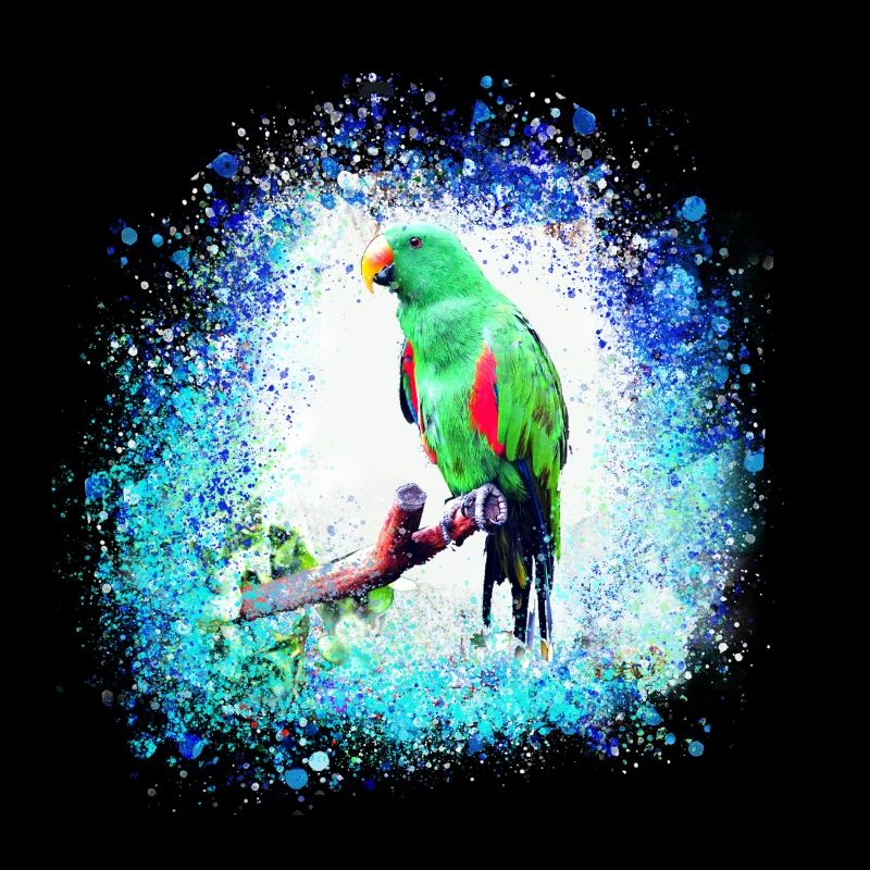 perfich ara,oiseau,graffiti,mint,bleu,brush,spray