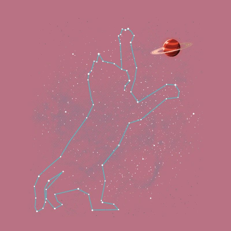 Constellation du chat