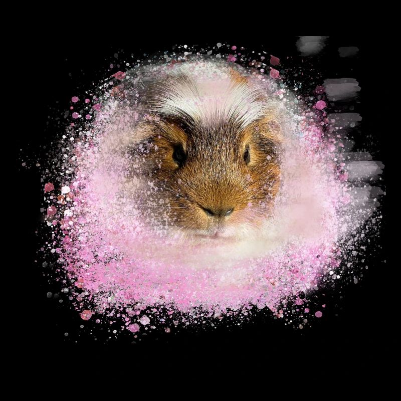 cochon d’Inde, graffiti, peinture, rose, rose