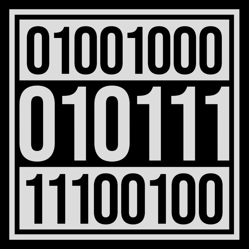Binary Code Program Language
