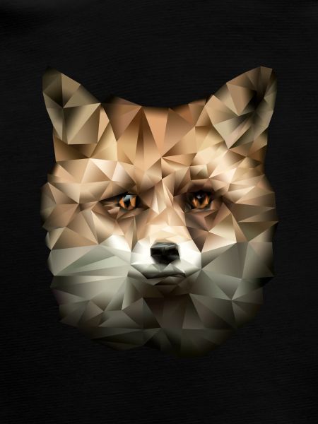 Polygon Fuchs