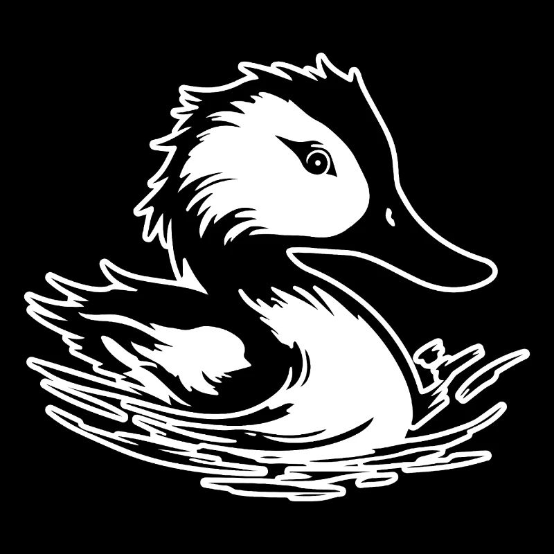 Canard Oiseaux Canards
